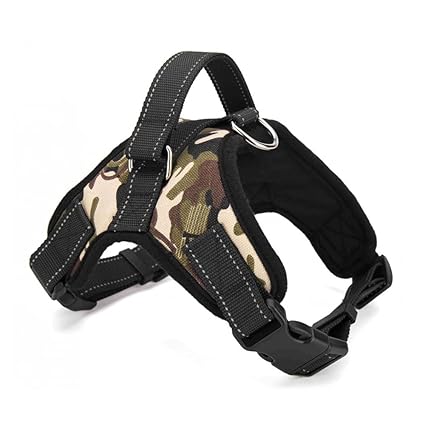 german shepherd belt price