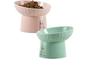 TAMAYKIM 6.5 Inch Tilted Extra Wide Raised Ceramic Cat Bowls, Round Food and Water Bowls for Elder Big Cats and Small Dogs, Elevated Pet Feeder Dish, Stress Free, Protect Cat's Spine, Pink & Green