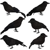 KIMOBER 6PCS Halloween Crows,Realistic Black Feathered Crows Ravens Birds for Halloween Party Indoor Outdoor Decorations