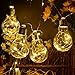 Homeleo Battery Operated Hanging Lights, LED Clear Bulb Copper String Lights, 10ft 10 Bulbs Warm White Globe LED Wire Hanging Lights for Christmas Halloween Wedding Party Indoor Outdoor Decor
