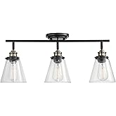 Globe Electric 59629 Jackson 3 Track Lighting, Dark Bronze, Antique Brass Accents