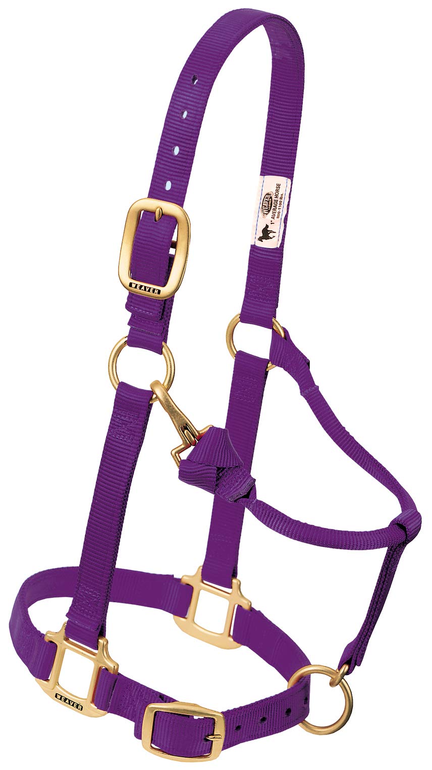 Weaver Leather Nylon Miniature Horse Adjustable Halter Purple — image 1