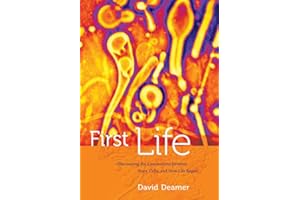 First Life: Discovering the Connections between Stars, Cells, and How Life Began