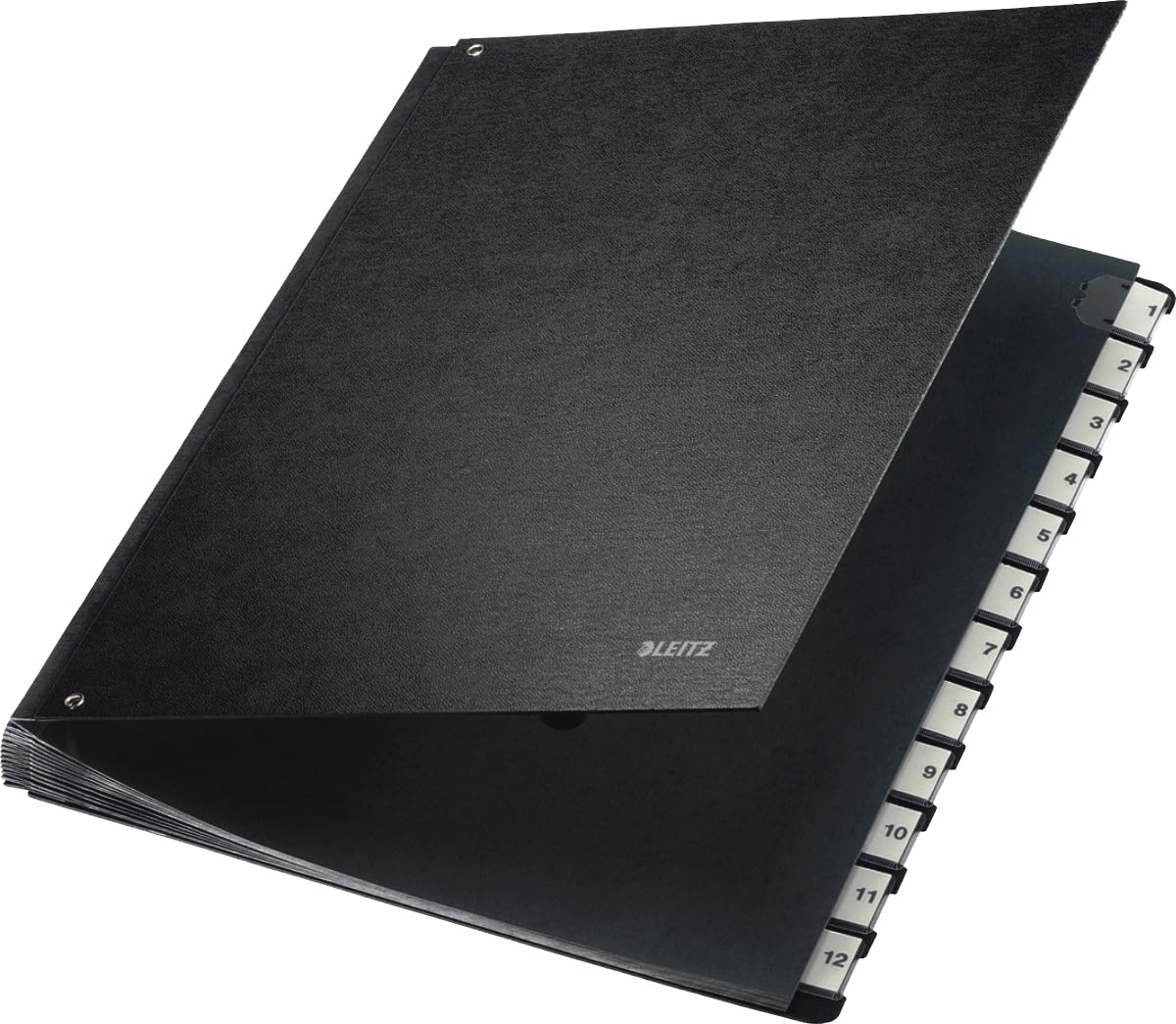 Leitz Pressboard Desk File