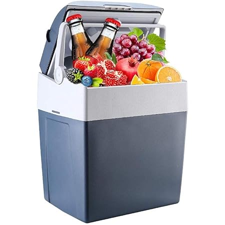 MUTANG Mini nevera, refrigerador del coche de refrigeración y ...