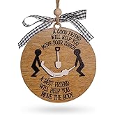 Funny Best Friend Christmas Ornaments, Dark Humor Friendship Gifts, Naughty Christmas Ornaments for Besties, Unique Good Friend Gifts, Friend for Birthday