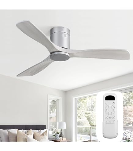 Amazon.com: Casa Vieja 52