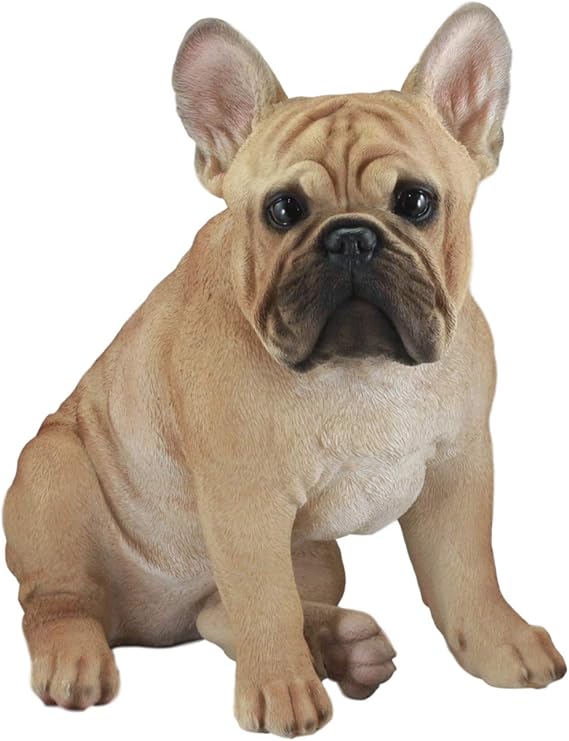 french bulldog accessories amazon