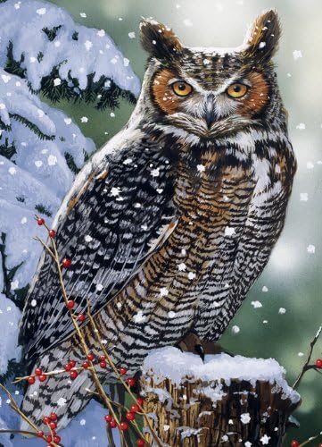 wentworth puzzles amazon