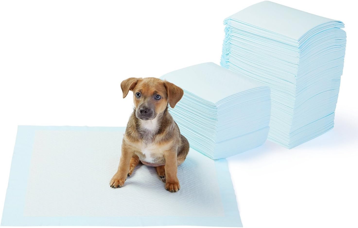 Itplus Pet Dog Daipers Cat Toilet Training Pads Indoor Puppy Pee Pads Disposable Underpad