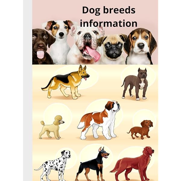 The Ultimate Guide To Dog Breeds: A useful means of identifying