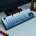 mintcaps PBT Doubleshot Keycaps Gradient Blue Backlit OEM Profile Keycaps Full Set 123 Keys Custom Keyboard Keycaps for 60% 65% 75% 100% Cherry Gateron MX Switches Mechanical Keyboard