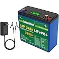 TalentCell 12V 24Ah LiFePO4 Battery Pack LF4040, 12.8V 288Wh Deep Cycle Rechargeable Lithium Iron Phosphate Batteries
