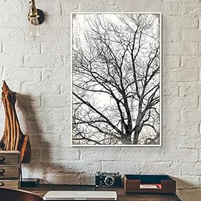 Floating Framed Canvas Wall Art for Living Room, Bedroom Canvas Prints for Home Decoration Ready to Hang - 16x24 inches