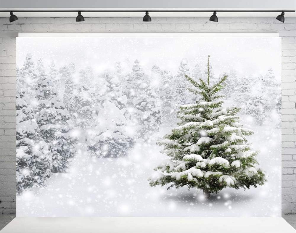 RUINI Winter White Frozen Forest Landscape Christmas Nature Photography Backdrop Christmas Trees Snow Forest Woodland Snowflake Background Decor 7x5FT