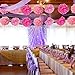 PAXCOO 27 pcs Tissue Paper Pom Poms Flowers for Valentine's Day Wedding Birthday Party Decoration