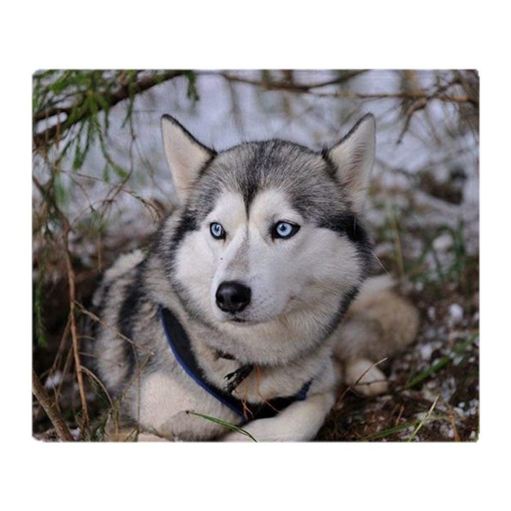 YISUMEI - Soft Fleece Blanket - Siberian Husky, 125 x 150 cm Throw Suitable for Sofa or Bed