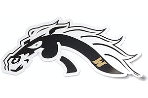 NUDGE PRINTING NCAA Vintage Popular Car Decals