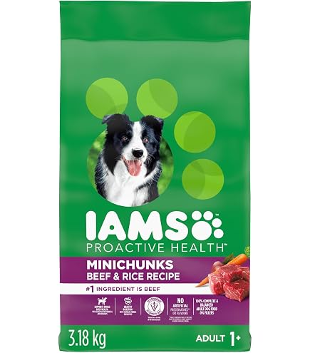 What is a Good Adult Dog Food Brand: Top Healthy Picks 2025
