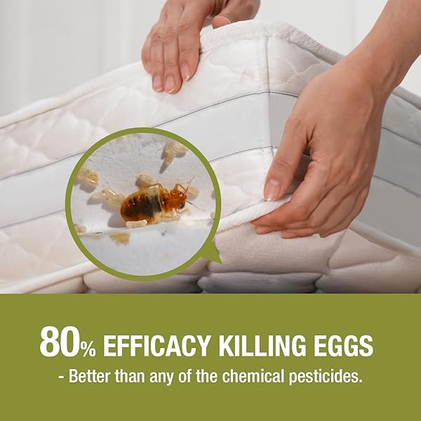 BED BUG KILLER 16 OZ ECOVENGER BY ECORAIDER, 100% KILL EFFICACY, BEDBUGS & MITES, KILLS EGGS & THE RESISTANT, LASTING PROTECTION, USDA BIO-CERTIFIED, PLANT EXTRACT BASED & NON-TOXIC, CHILD & PET SAFE