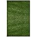 iCustomRug Ivy Realistic Thick Artificial Grass Rug, 3'x5', with Bound Edge Finishing, Pet pad