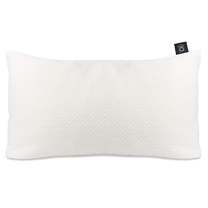 Bed Pillows