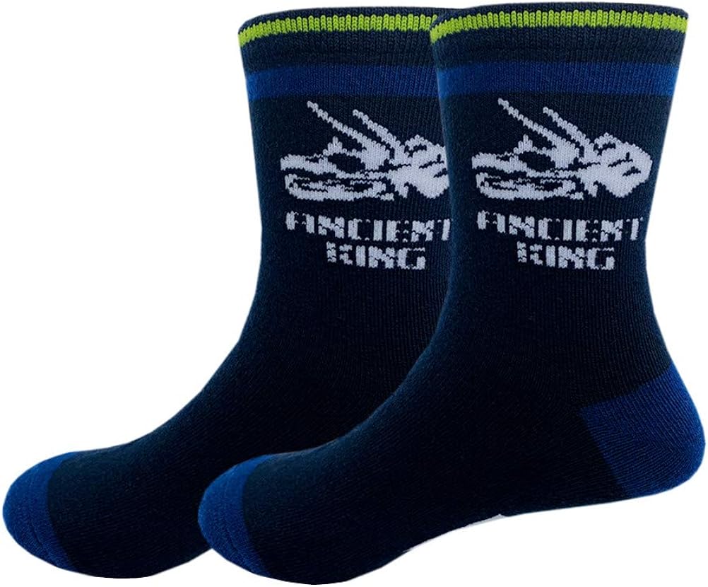 Kids Boys Cartoon Dinosaurs Pattern Sport Socks 10 Pairs: Clothing