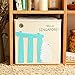 kaikai & ash Toy Storage Bins, Canvas Box Organizer, Kids 13 inch Cube - Singapore