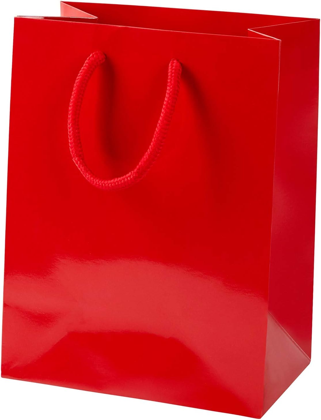 Thepaperbagstore RED GLOSS ROPE HANDLE PAPER BAGS (100, Small