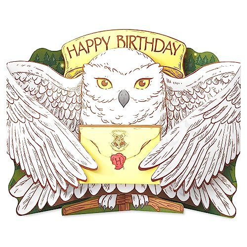 American Greetings Harry Potter Birthday Card Hedwig Pop-Up (You Deserve a Day…