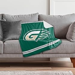 Georgia Gwinnett College Grizzlies Primary Logo