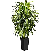 ASIZZED 5FT Tall Fake Plant Artificial Dracaena Tree with Black Planter Faux Plants Indoor Living Room Artificial Plants Indoor Decor Large Fake Plant