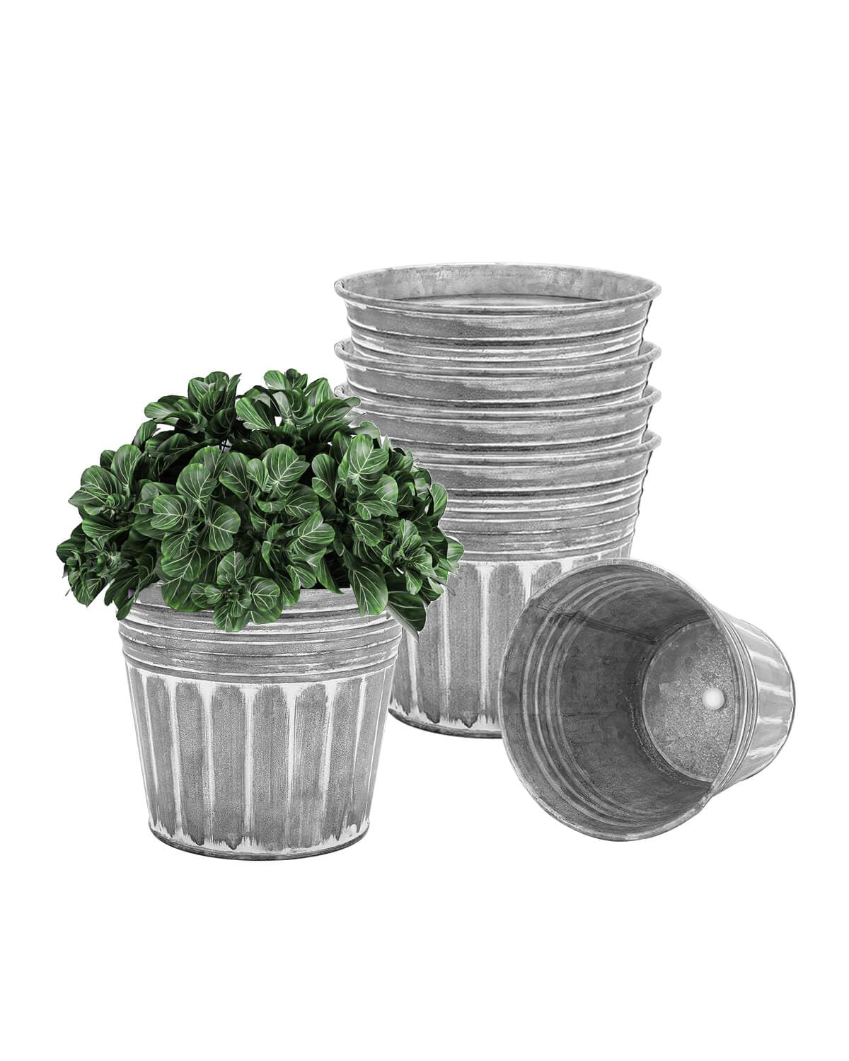 vensovo 5 Inch Galvanized Planters for Outdoor Plants - 6Pcs Silver Metal Rustic Flower Plant Pots with Drain Hole and Rubber Stopper, Rustproof Metal Bucket Planters Vintage Style for Indoor Decor