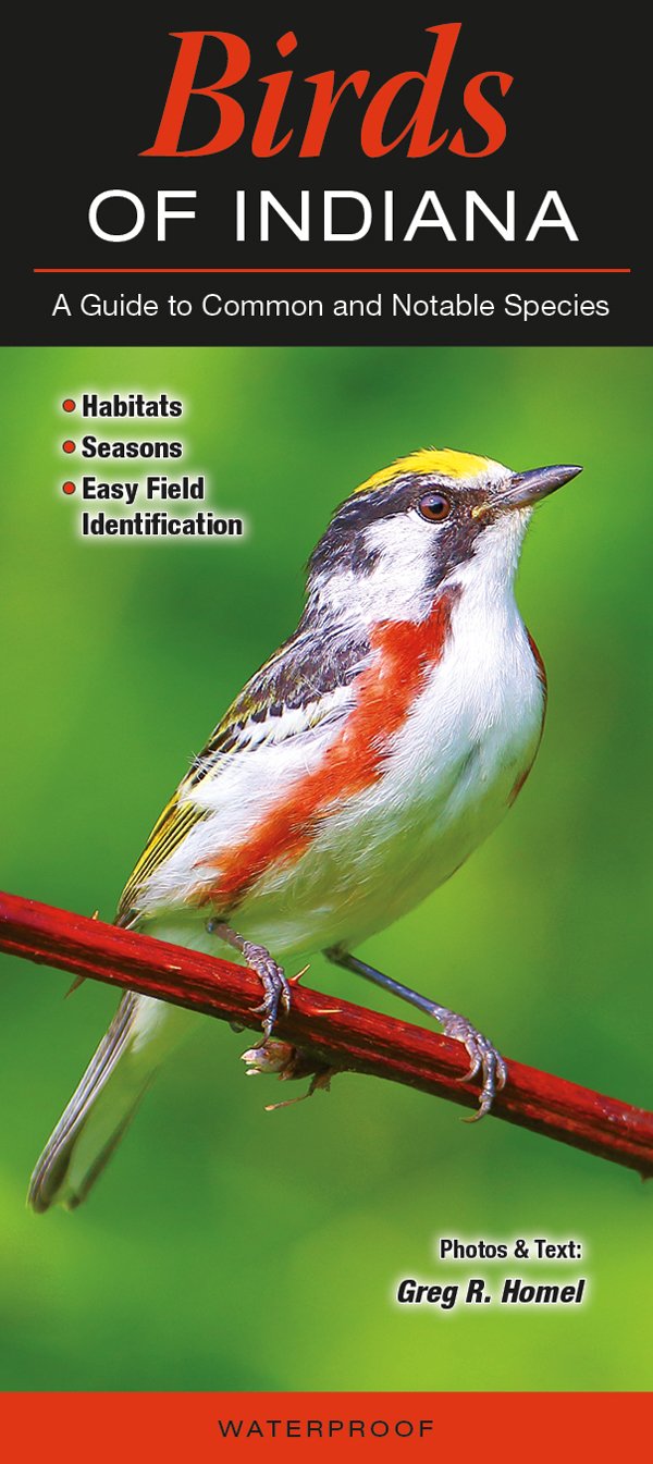 Birds Of Indiana A Guide To Common And Notable Species Greg R