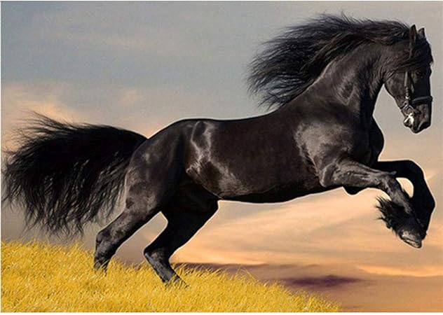 Waz Pintura Diamante 5d Diy Rhinestone Tachonado Caballo Galopando Patron Casa Decoracion De Pared 40x30cm Amazon Es Hogar