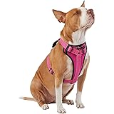 kong small dog harness