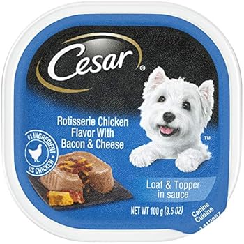 Amazon.com: CESAR Soft Wet Dog Food Loaf & Topper in Sauce