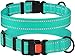 CollarDirect Reflective Dog Collar for a Small, Medium, Large Dog or Puppy with a Quick Release Buckle - Boy and Girl - Nylon Suitable for Swimming (10-13 Inch, Mint Green)