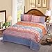 Exclusivo Mezcla 2-Piece Twin Size Boho Paisley Quilt Sets, Reversible Lightweight Bedspreads/ Coverlets/ Bedding Set, (68
