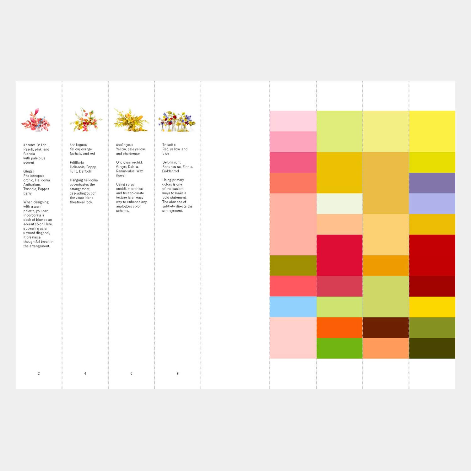 Flower Color Theory Flower Color Theory Paperback