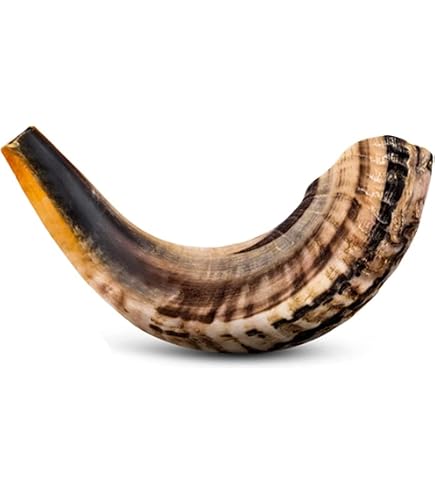 Schofar Authentique En Corne De Bélier De Jérusalem | 35cm Poli Main | Pour Kippour Et Célébrations | Cacher Certifié