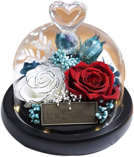 Amazon Co Jp Ssoklover エンチャンテッドローズ 美女と野獣 本物のバラ ガラスドーム型 手作り プリザーブドローズ 自宅 オフィス 自宅 デコレーション 記念日 バレンタインデーなどに Ssoklover ホーム キッチン