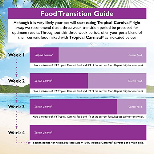 Tropical Carnival Gourmet Macaw Food – Big Bites Daily Diet with Probiotics - Image 8