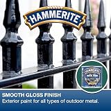 Hammerite Direct to Rust Exterior Gloss Green Paint 250ml 1.25m2 Coverage view 2