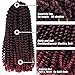 4 Packs Spring Twist Crochet Braids 8Inch 30 Strands Low Temperature Fiber Color 2 Tone Synthetic Spring Curl Braiding Hair Extensions Crochet Braiding (#1B/BUG Black to BUG)