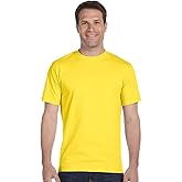 Hanes Mens 5180