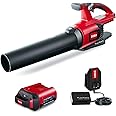 Toro Flex Force 60-Volt Max Brushless and Cordless Leaf Blower with 2.0-Ah Battery and Charger
