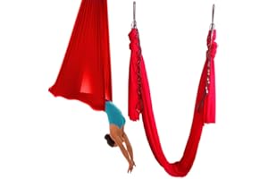 wellsem Aerial Yoga Hammock 5.5 Yards Yoga Swing Pilates Silk Home Fitness Include Carabiner,Daisy Chain, Pose Guide