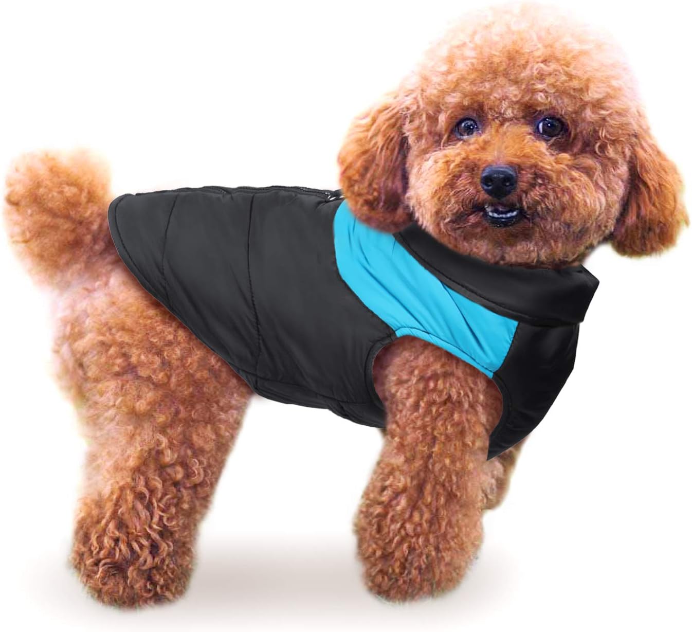 IREENUO Dog Winter Jacket Waterproof Windproof Dog