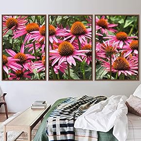 signwin 3 Piece Framed Canvas Wall Art Pink...